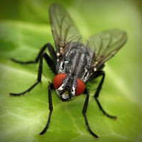 /album/edoroteomdptovinculacion/photolia-a01-jpg/