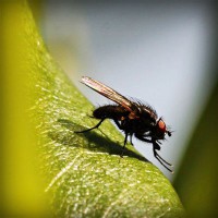 /album/edoroteomdptovinculacion/photolia-a04-jpg/