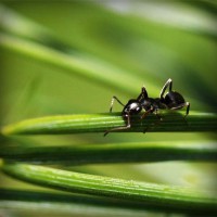 /album/edoroteomdptovinculacion/photolia-a05-jpg/