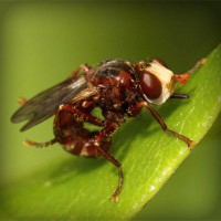 /album/edoroteomdptovinculacion/photolia-a06-jpg/