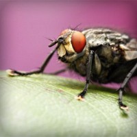 /album/edoroteomdptovinculacion/photolia-a08-jpg/